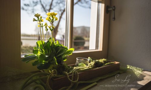 Unser Mühlenstüberl Unser Mühlenstüberl